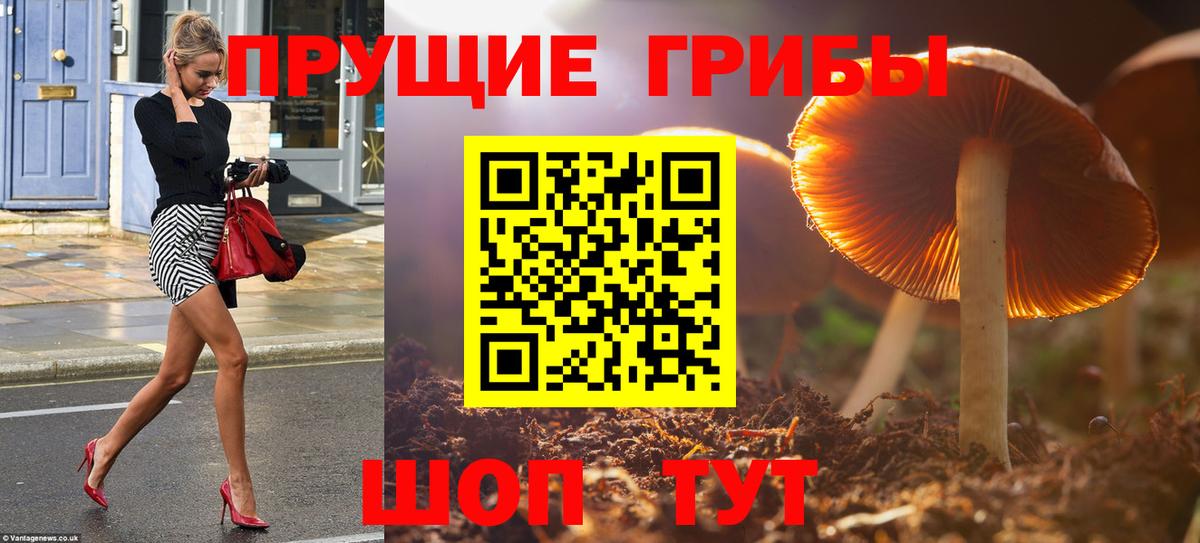 Псилоцибиновые грибы прущие грибы Ростов-на-Дону