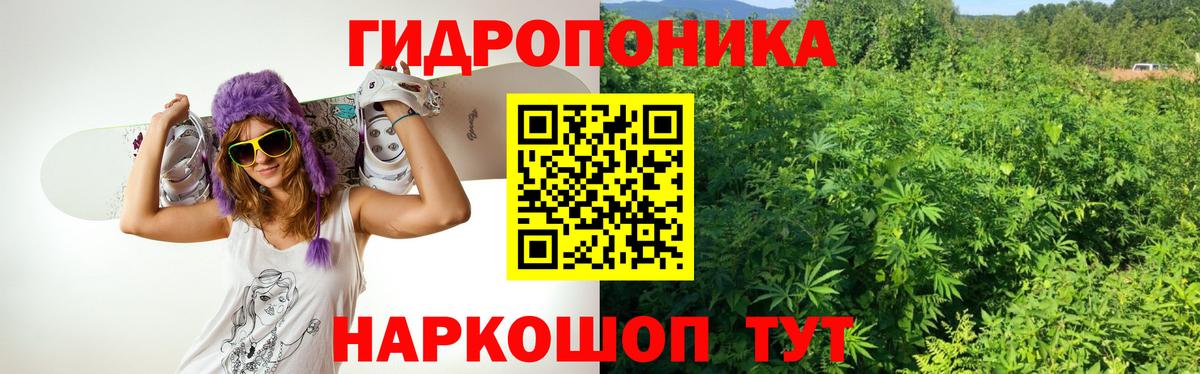 Конопля ГИДРОПОН  Вход с VPN  Бошки Шишки White Widow  Бошки Шишки White Widow  Ростов-на-Дону  Бошки марихуана ГИДРОПОН 